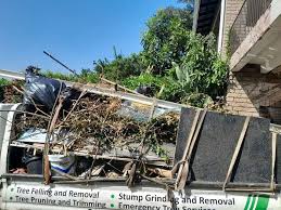 Best Demolition Debris Removal  in Larimore, ND